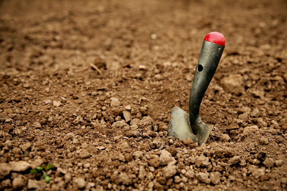 移植ゴテで土を掘るところ